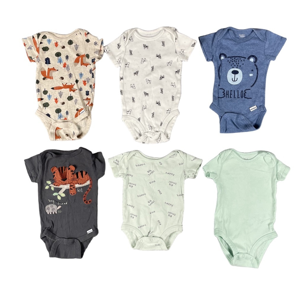 Baby Boy 0-3 Months 6 Piece Bundle Fox Bear Forest Theme Gerber Carters Lot